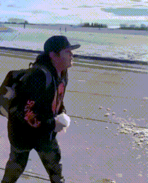 最后一个你是来搞笑的么