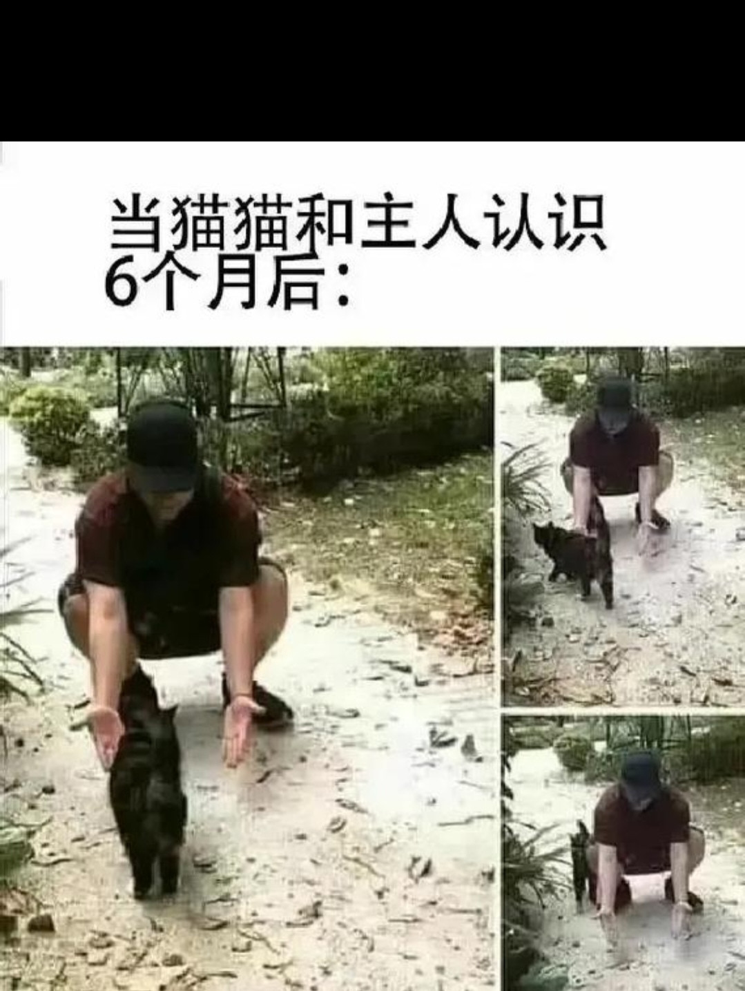 当猫猫和主人认识后
