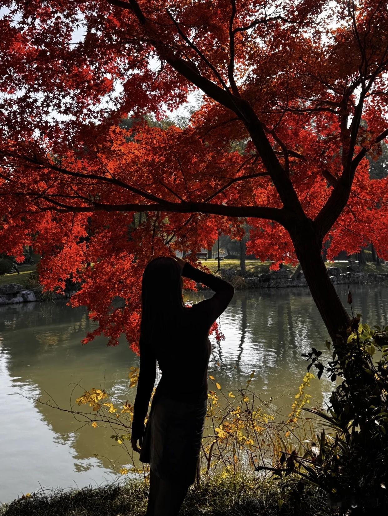 什么样的女人最令人着迷秋日红叶下的优雅女子，漫步在石阶间，感受大自然的美丽。