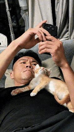 看到这个画面，感觉特别温馨有趣。主人躺在床上刷手机，小猫慢慢走过来，直接趴在主人