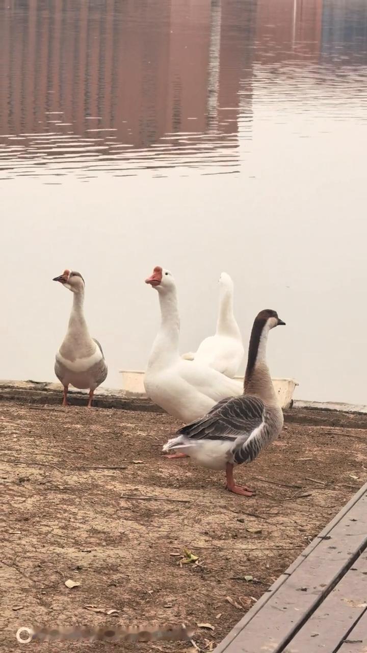 啊，啊，啊，啊，啊，啊，啊，啊，啊，啊，啊，啊，啊，啊，啊，啊。