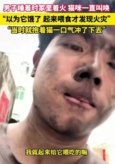 太惊险！男子睡觉时，猫咪一直站在枕头边叫，却发现……