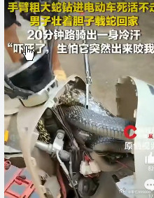湖南男子骑车遇大蛇钻车硬骑回家这胆子创意了！湖南耒阳，一男子在村里骑电动车时，一
