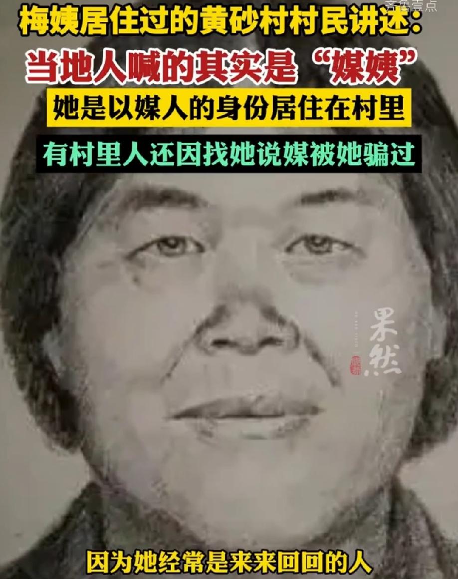 “梅姨案”又曝出新细节，所谓“梅姨”这个名字实际上是谐音叫错了，真正的叫法是“媒