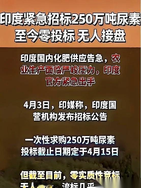 这几天，印度那场涉及250万吨尿素的全球招标落幕了，一张巨额大单在市场上转了一圈