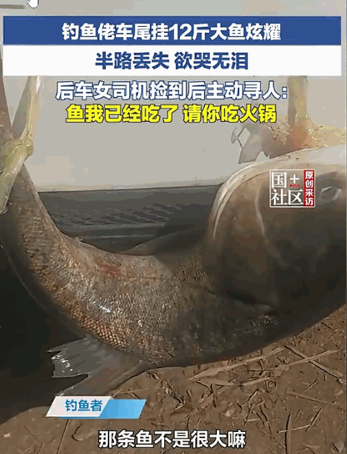 这鱼怕是要吃出缘分了！重庆，一男子钓上大鱼后兴奋得不行，特意拴在车尾一路炫耀回家