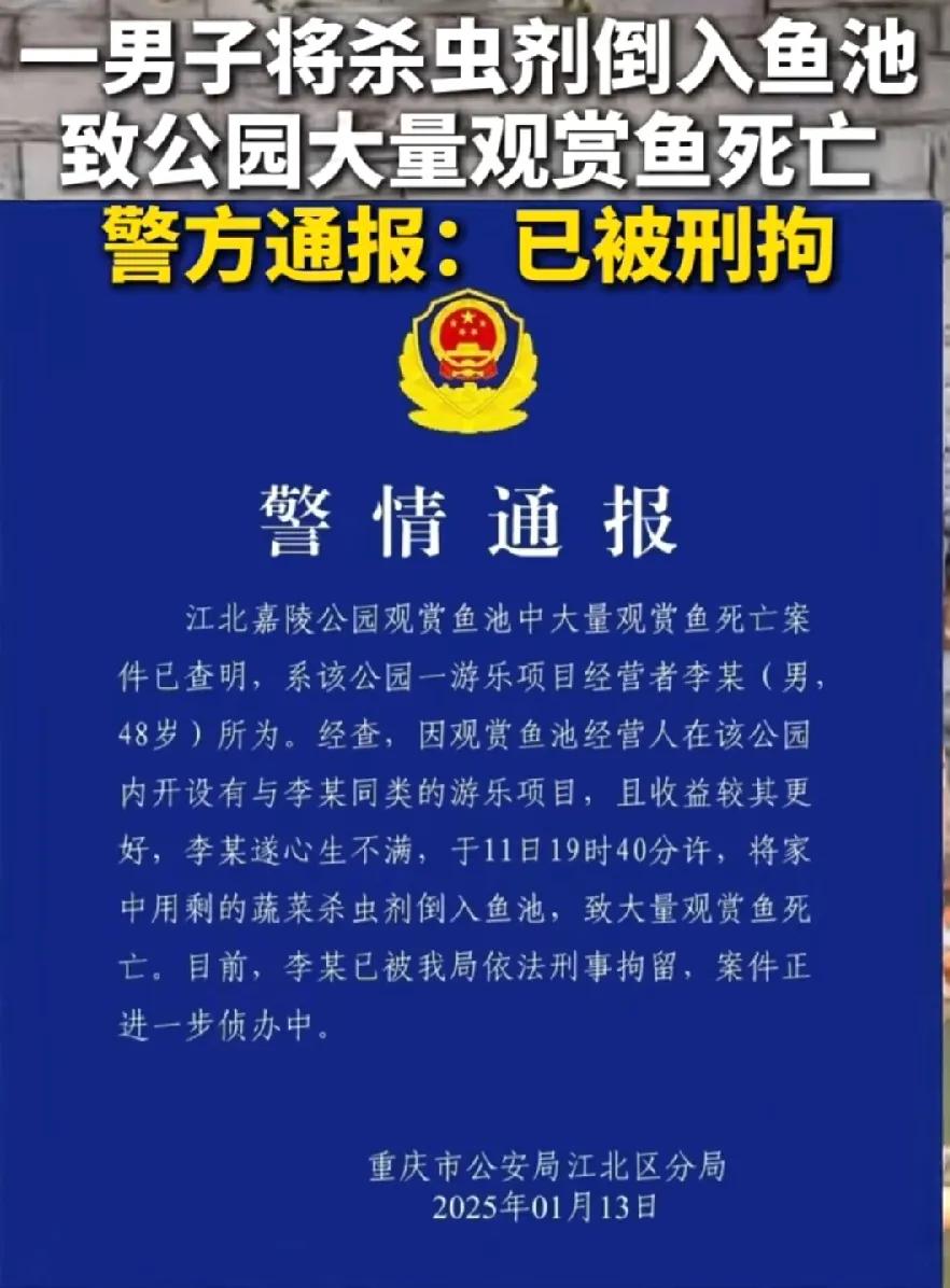 重庆观音桥，这么漂亮可爱的观赏鱼，全被一个叫李某的人毒死了，48岁一把年纪了，心