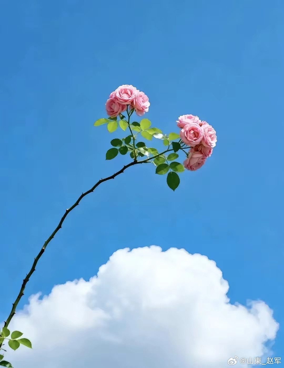 夏天阳气本就自然浮越于体表，这是身体顺应天时的本能调节。如果盛夏阳气还升发不出来