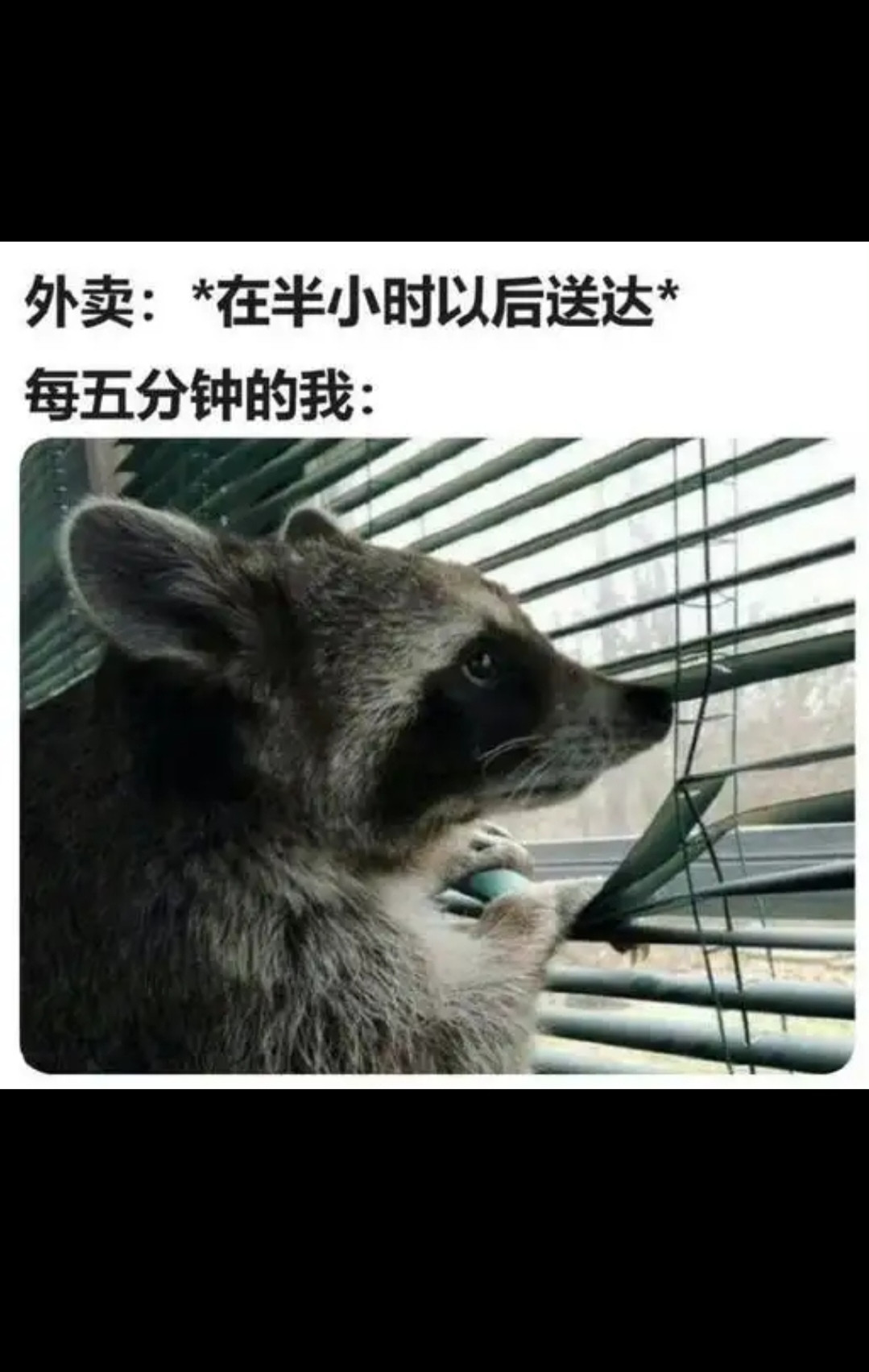 骑手：从没有人这么期待过我