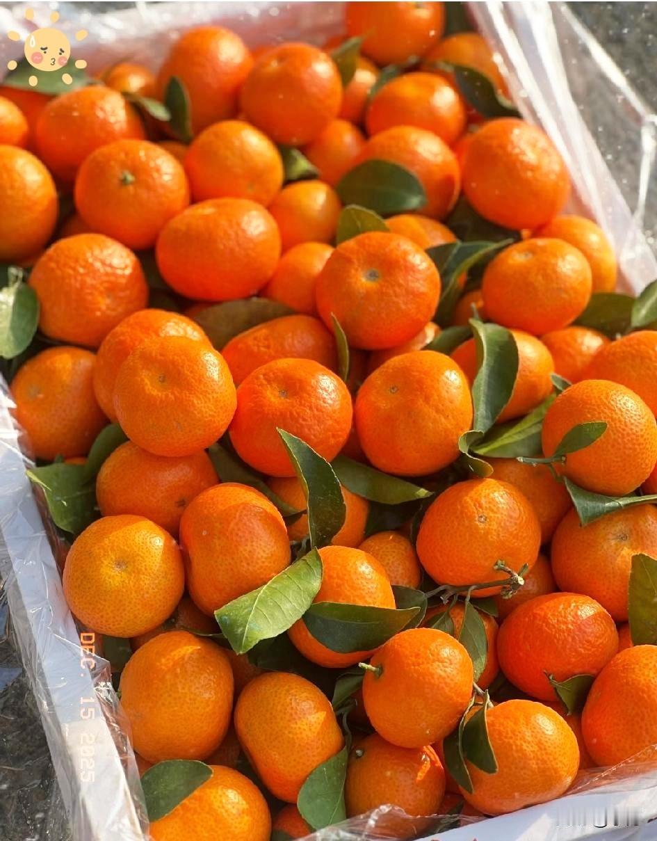 我终于知道今年的沙糖桔为什么卖不动了并不是价格太贵了也不是大家不喜欢吃真实原