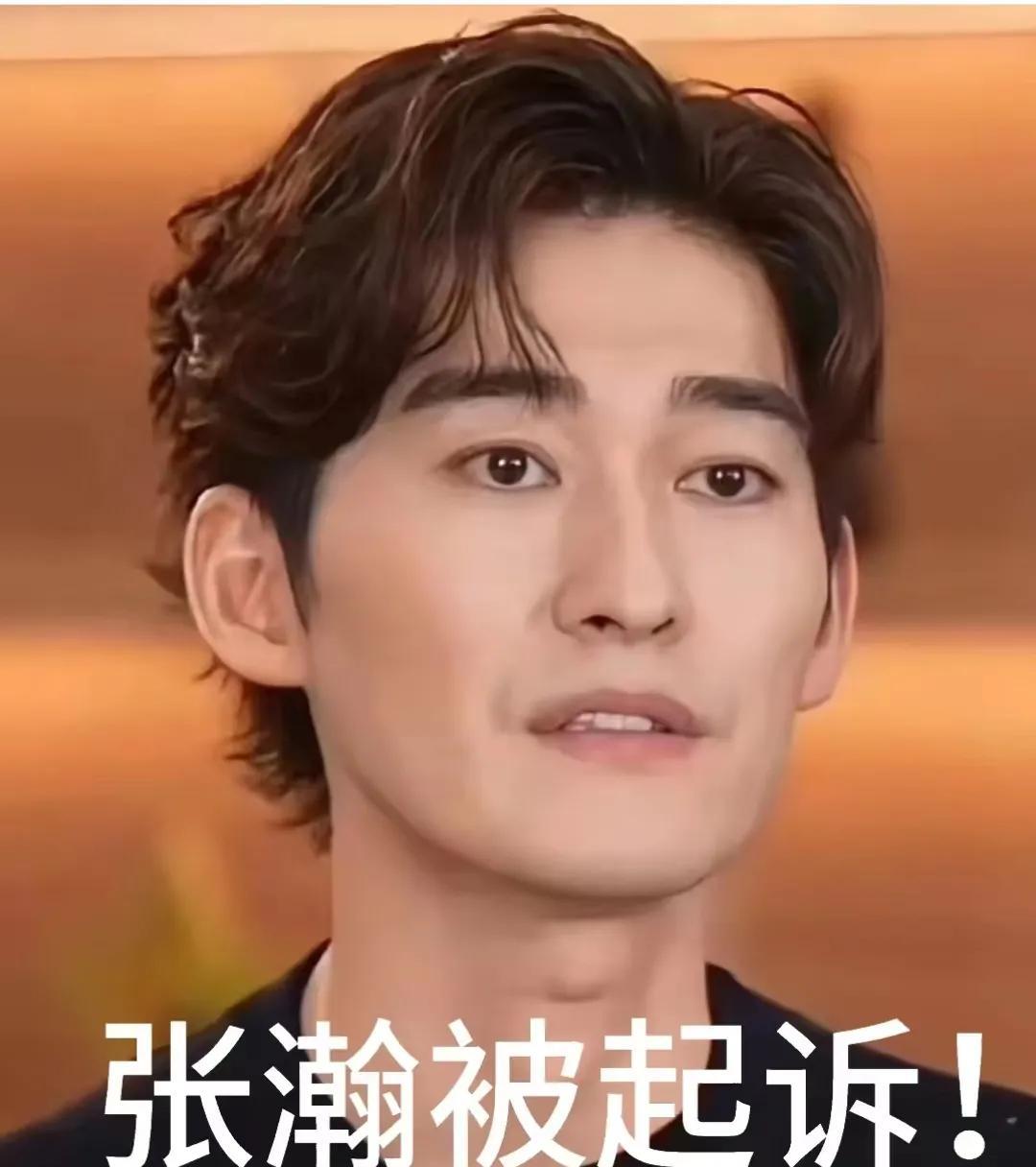 张翰被起诉后续来了，万万没想到他比“”窦娥”还冤！今天销声匿迹已久的张翰突然