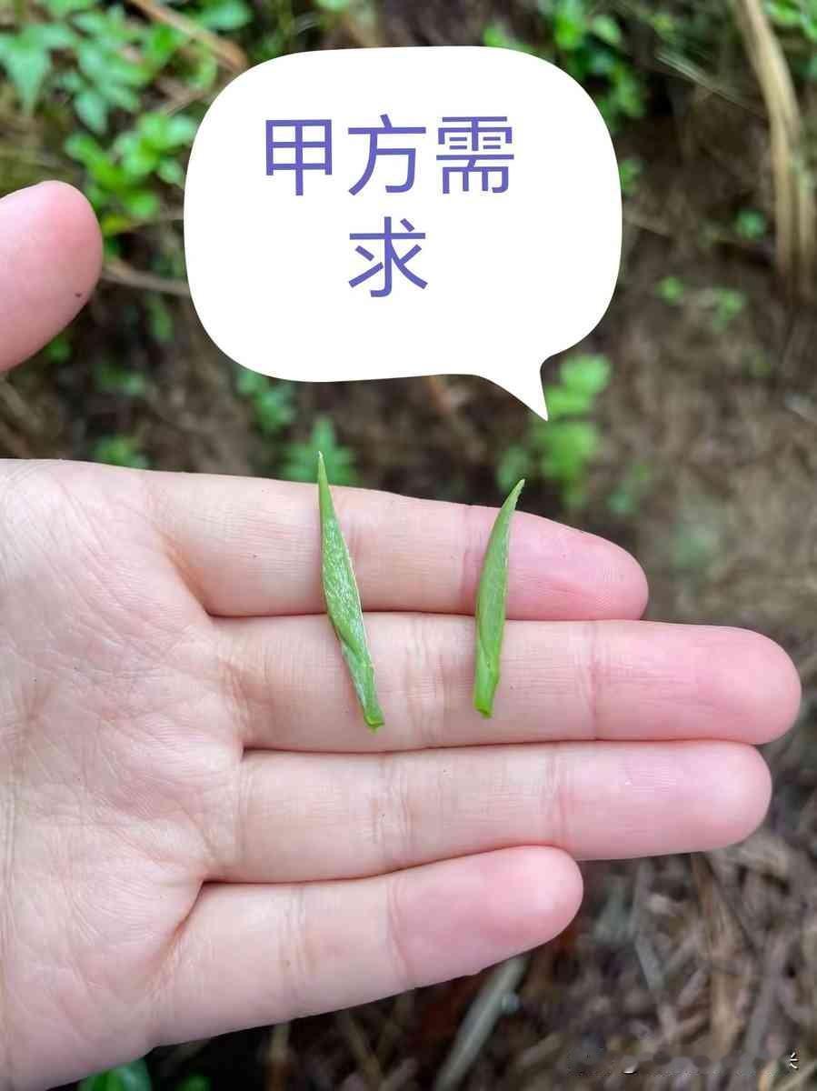 都啥年代了，还有人用“一片茶叶说透工程”这种标题来糊弄你。说白了，就是有人把一