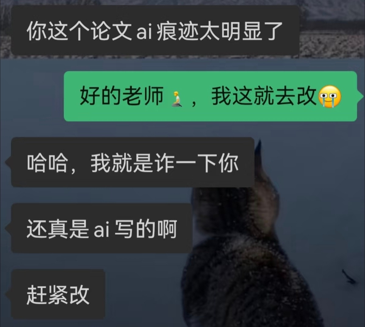 兵不厌诈了也是[哭哭]​​​