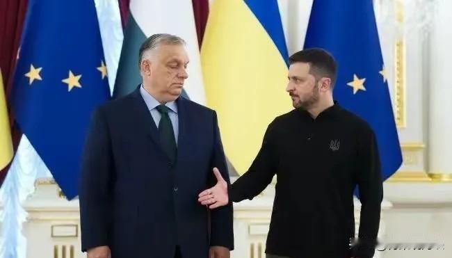 泽连斯基嘲笑欧尔班“肚子大”，欧尔班反手就是一记回旋踢慕尼黑安全会议本来是讨