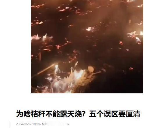 为什么焚烧秸秆不被允许？其实这事儿压根不是“不让烧”的强制管控，说到底是真没