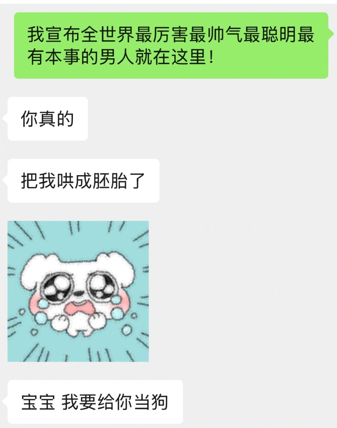 开个训狗速成班吧！！！​​​