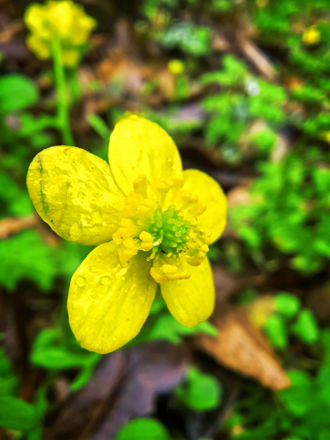 觉醒后，一定要明白的道理：随缘处处皆自在，任运时时道真如。人与人之间，