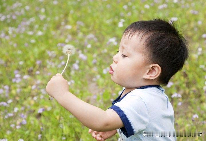 砸钱养娃，却输给了手机？当今部分家长的通病，该醒醒了！“我拼命赚钱，给你报最