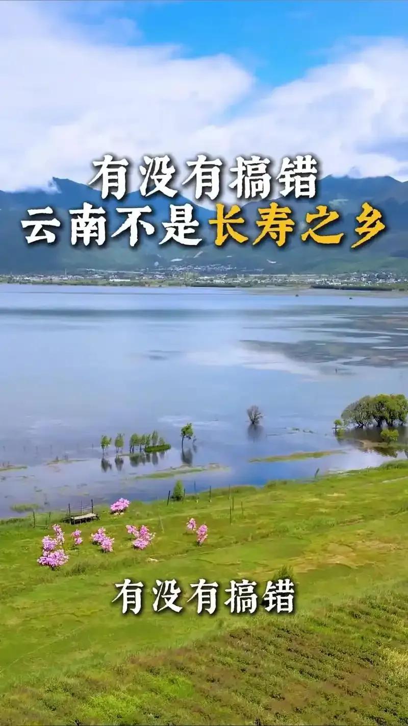 云南总以“四季如春”自诩，吸引无数退休大军前来“修仙”，殊不知这里的春天像渣男的