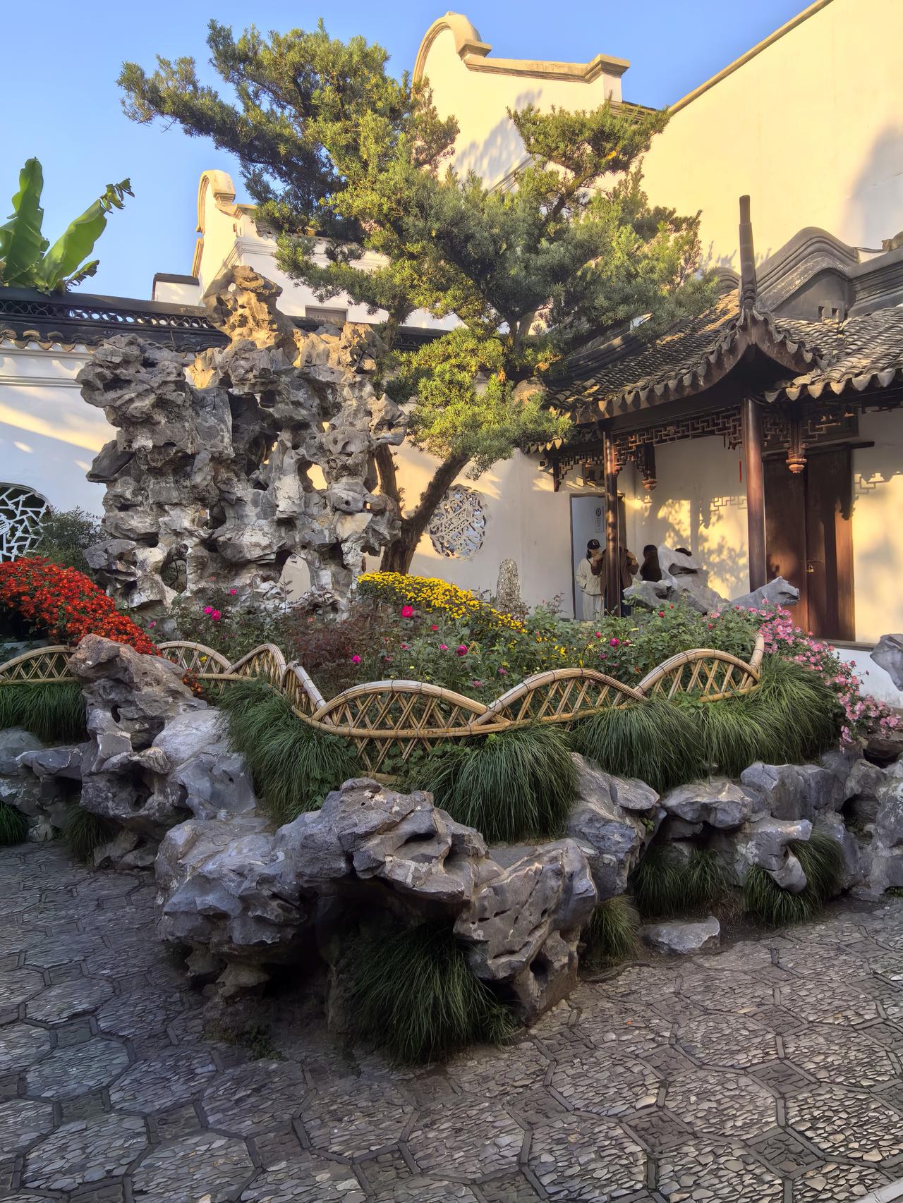 苏州之行第九站:菊影入禅林，狮峰藏秋意——苏博至狮子林漫记。刚别过苏州博物馆里