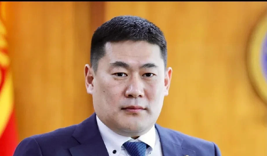 蒙古总理突然下台，美国稀土战略悬了惊天大瓜！蒙古政坛突然