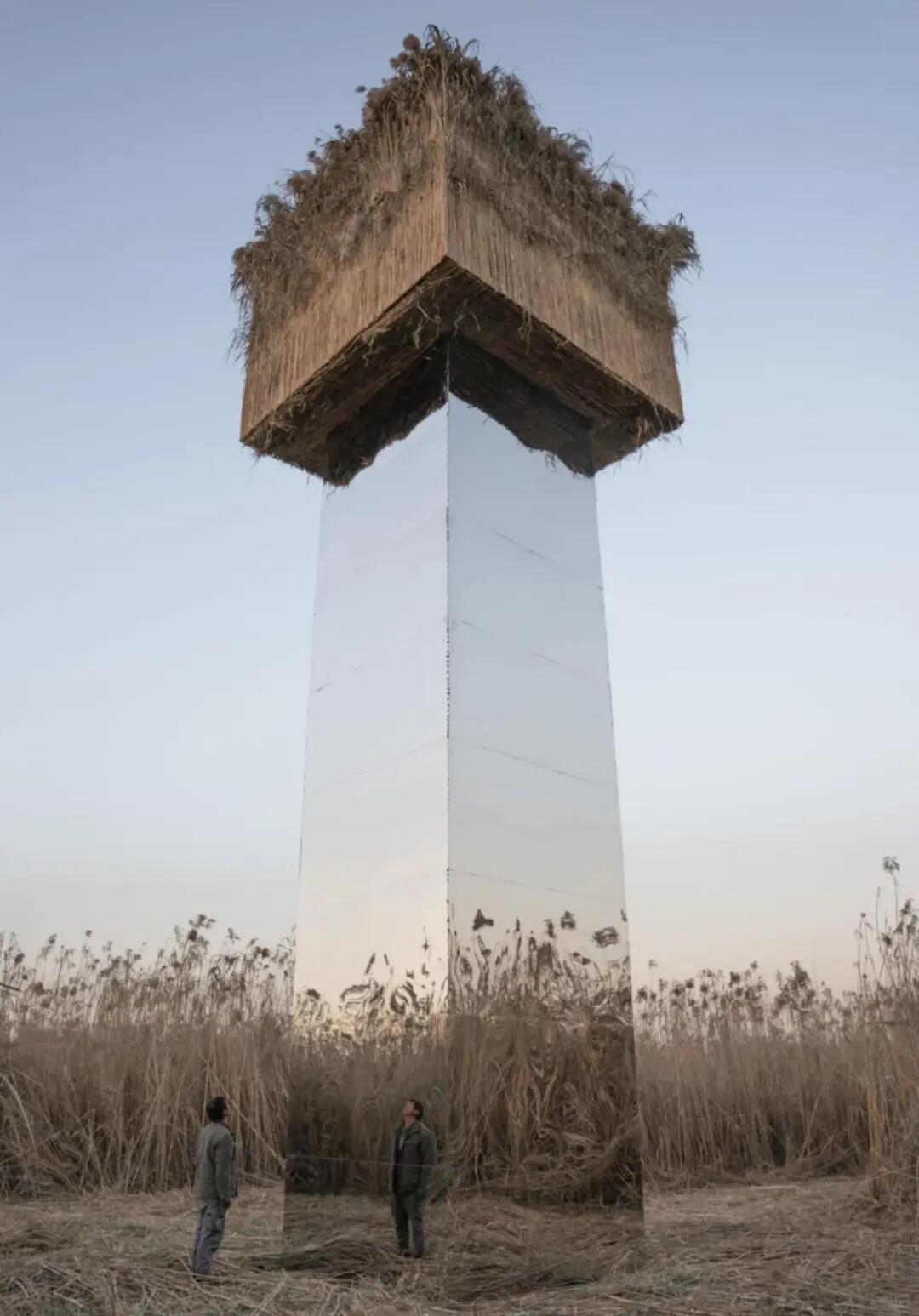 之前闹得挺大的洞庭湖镜面柱子，终于拆了。这是好事，说明大家的关注和发声是有用的。