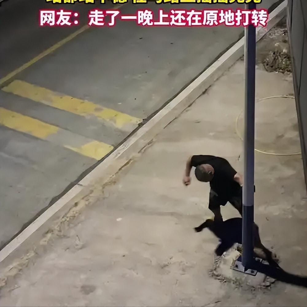 21岁小伙感冒七天走路不稳像喝醉酒：很多人都在硬扛这种病很多人以为，感冒只是