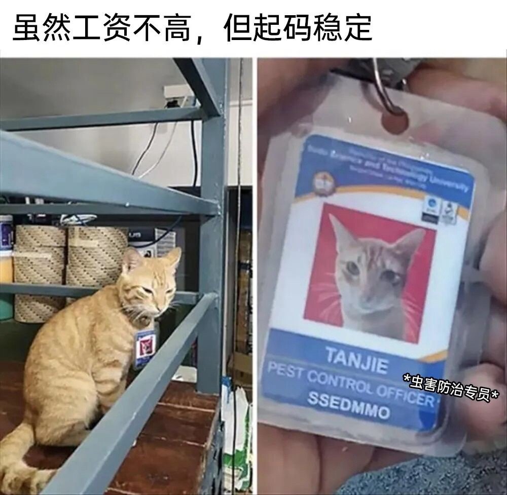 生活不易​​​
