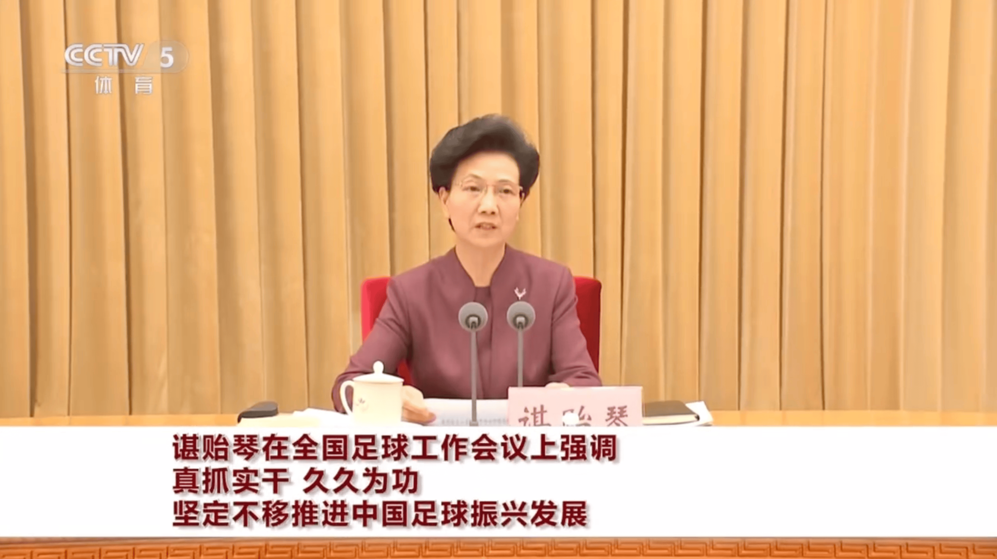 谌贻琴在全国足球工作会议强调: 坚定不移推进足球振兴发展