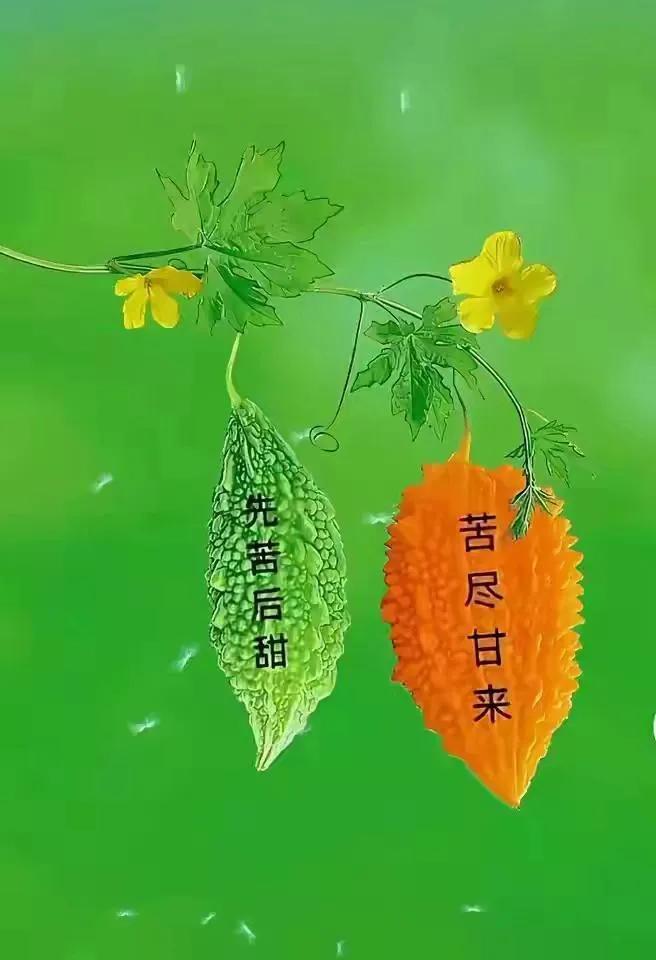 生活中愿你删繁就简，把生活过得得透亮，像清茶入喉，简单也舒服。不去计较才自在淡