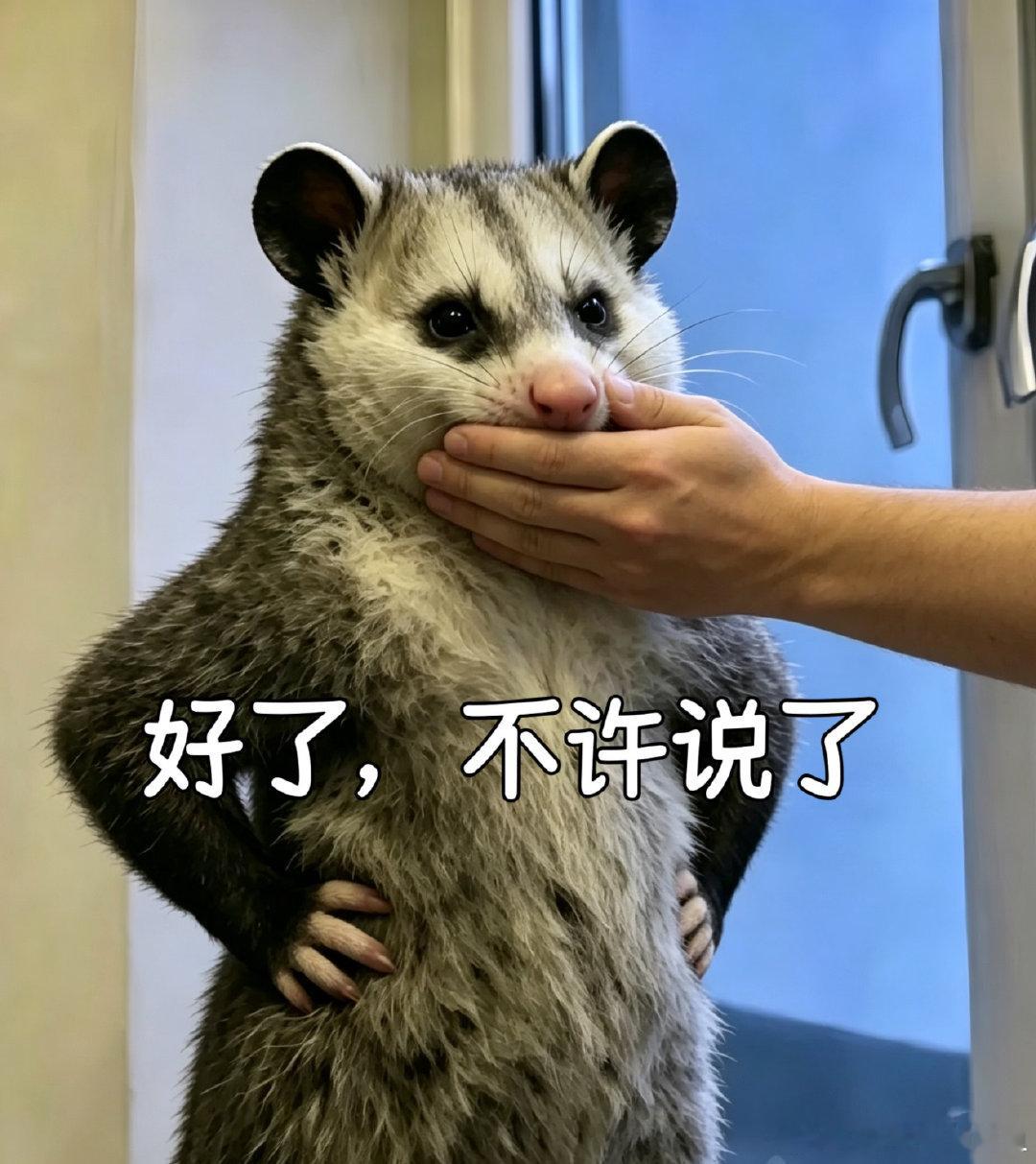 #迪丽热巴明示#此地无银三百两​