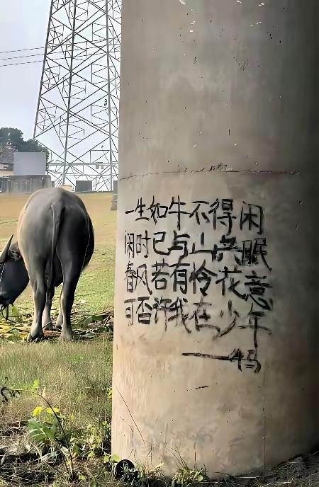 大家觉得这首诗写的怎么样？水平高不高呀？我感觉写的还挺好的，它能映射出我们每个人