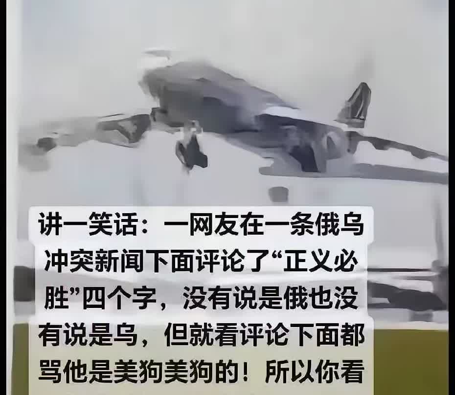 怎么就成美狗了？我看不懂，是则笑话吧？