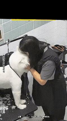 真的不能理解这些养狗的人，和狗狗的亲密也着实胆大了些，再怎么说那也是动物呀！动物