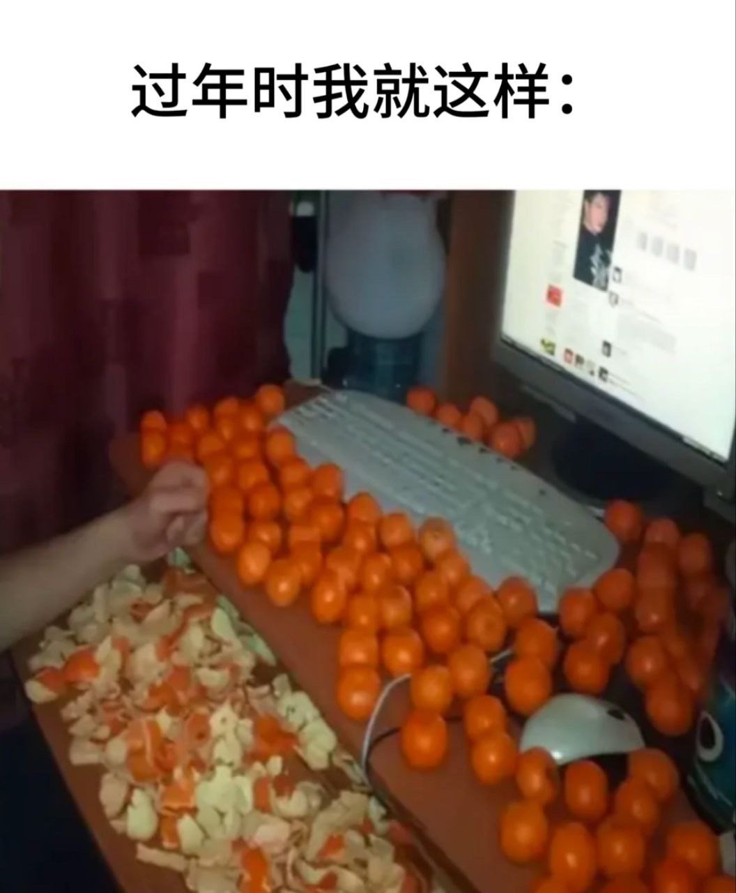 我会化身砂糖橘毁灭者