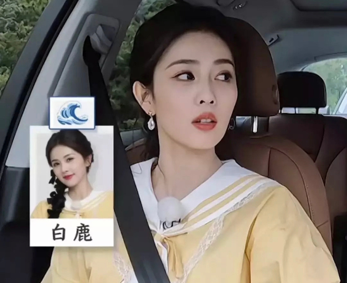 蓝台给白鹿做的[捂脸哭]​​​