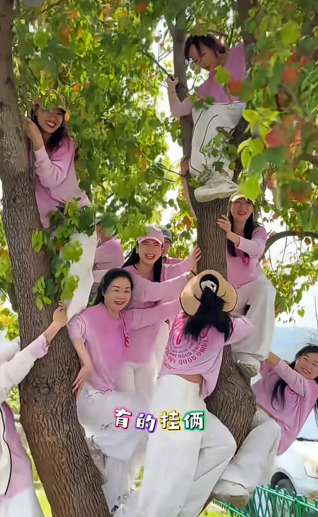 春天到了，万物复苏，又到了大妈们尽情撒欢的时节。然而网友所发的那几张“树上结满