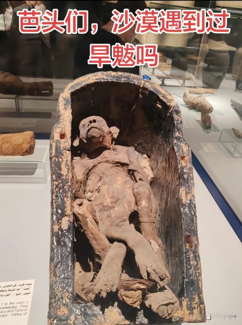 木乃伊不都是法老吗？这猴子不简单，有没有一种可能，他就是古代的人?按照这样说3