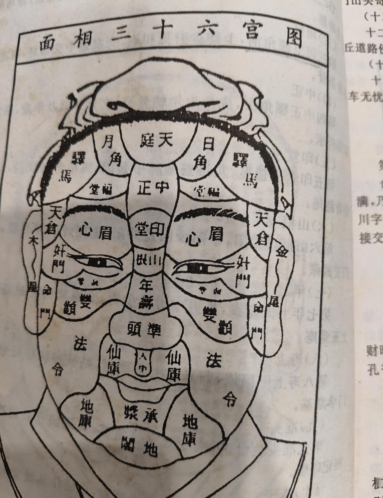面相风水，从古至今都带着神秘色彩，但现代研究的加入，让它变得更加理性和贴近生活。