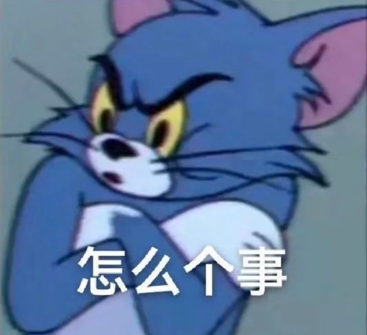 飞天奖的颁奖礼我是掐着点看的。入围名单提前几天就翻过了，一部部对着看，发现今年提