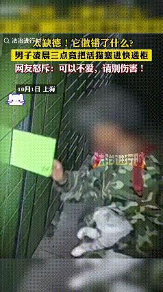 这下出名了，不仅上海知道了，全国都知道了。凌晨3点一男子把猫关进了快递柜，之后头
