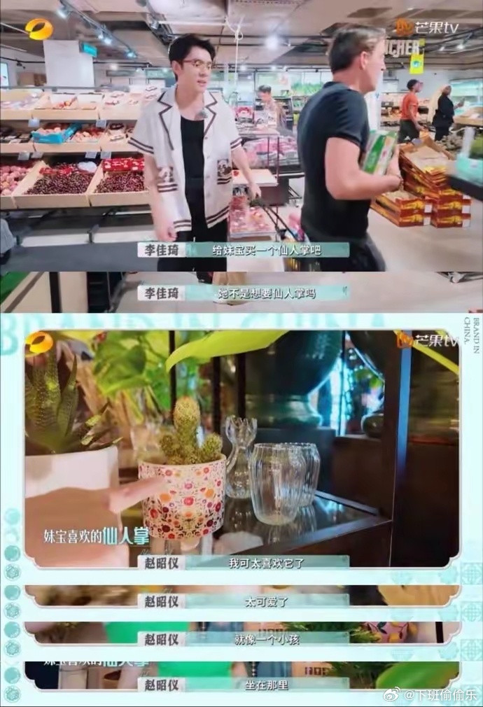 李佳琦把赵昭仪养的很好李佳琦他真的把赵昭仪养的很好，会记得妹宝说的话，会配合妹宝