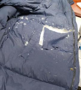 “悲剧还是发生了！”近日，福建福州，一男子网购的羽绒服破损后，仍坚持穿了1个月，