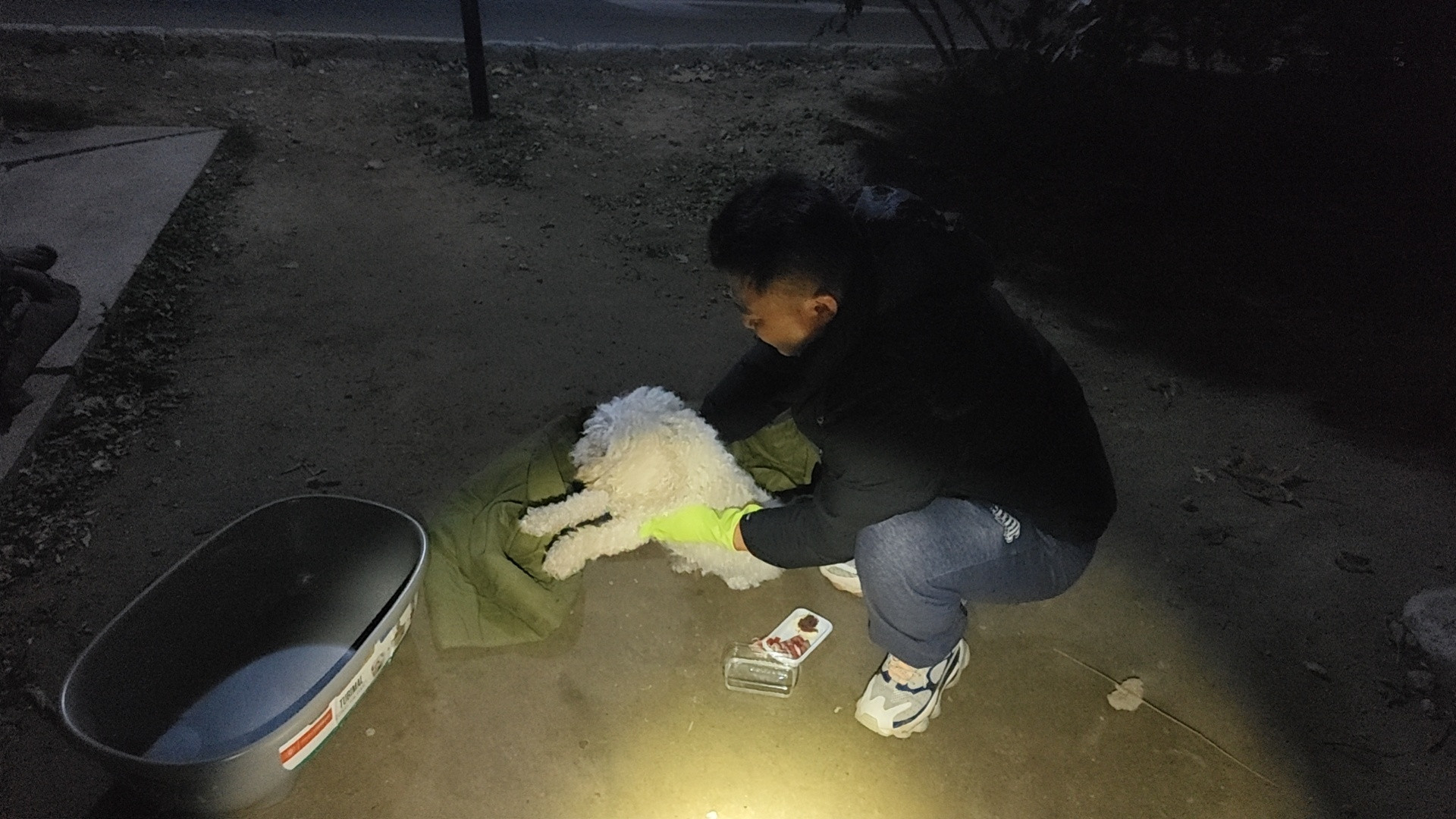 跟大家汇报一下昨天救的那只狗的情况:先说结果，今天早上找到狗主人了，现在狗主人已