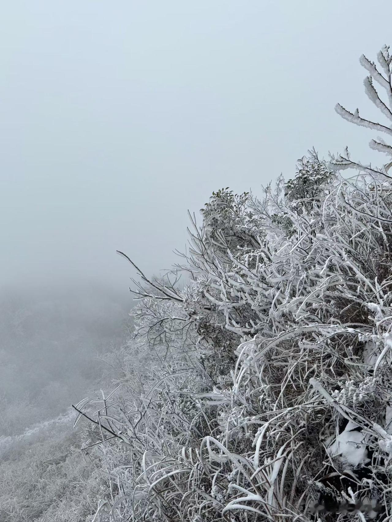 一夜之间，全国就变冷了，广西这里也不例外，但是美景也让很多人感到非常的兴奋。这