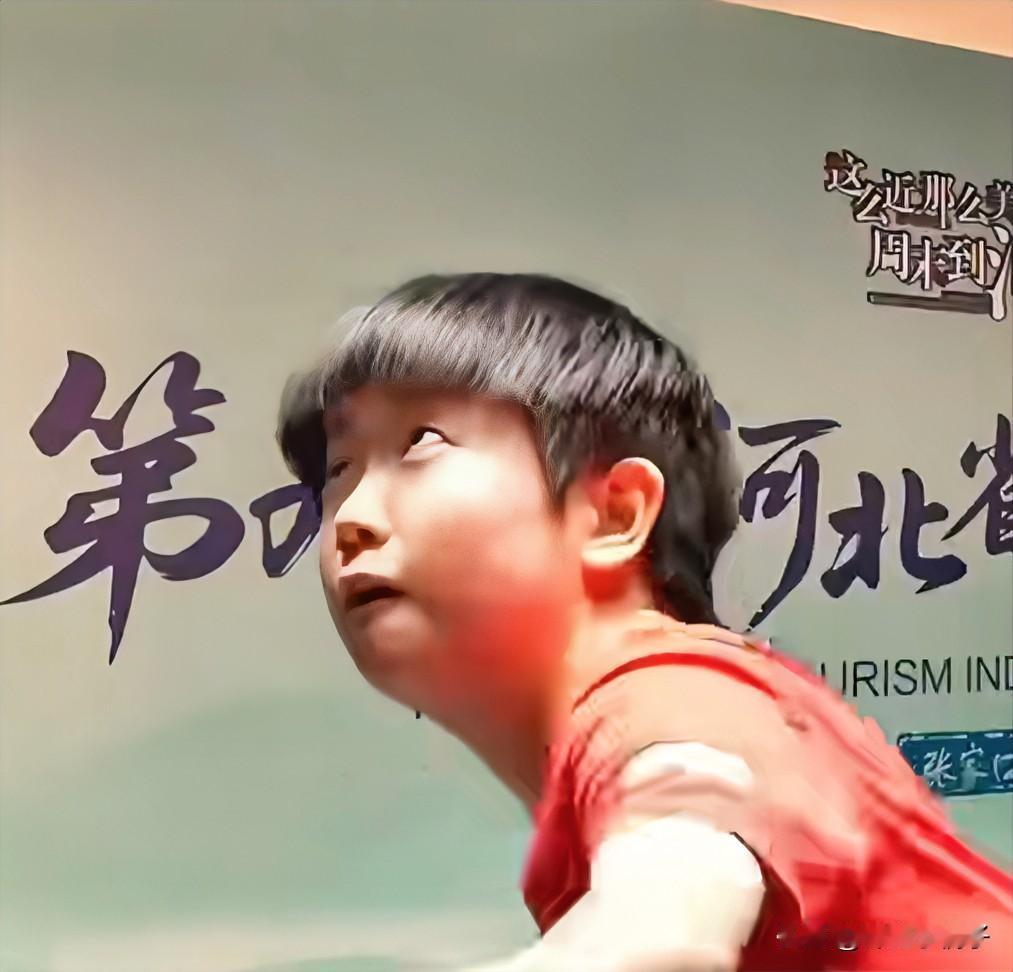 河北文旅这一波“护犊子”的操作，真看得人眼眶发热，这就叫亲妈粉吧！这几天网上