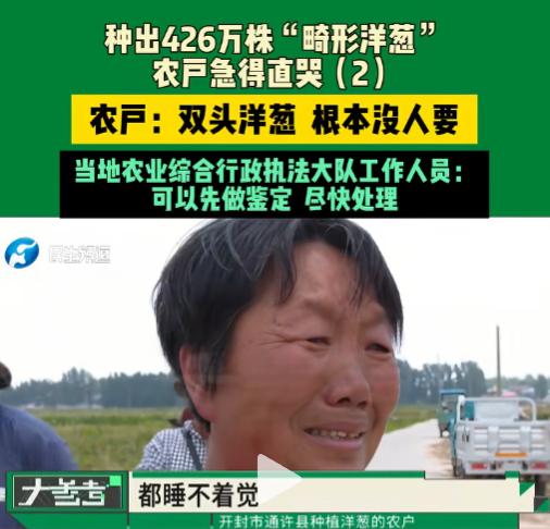 太揪心了！6月9日报道，开封几十户种洋葱的农户，大半年辛辛苦苦种的462万株洋葱