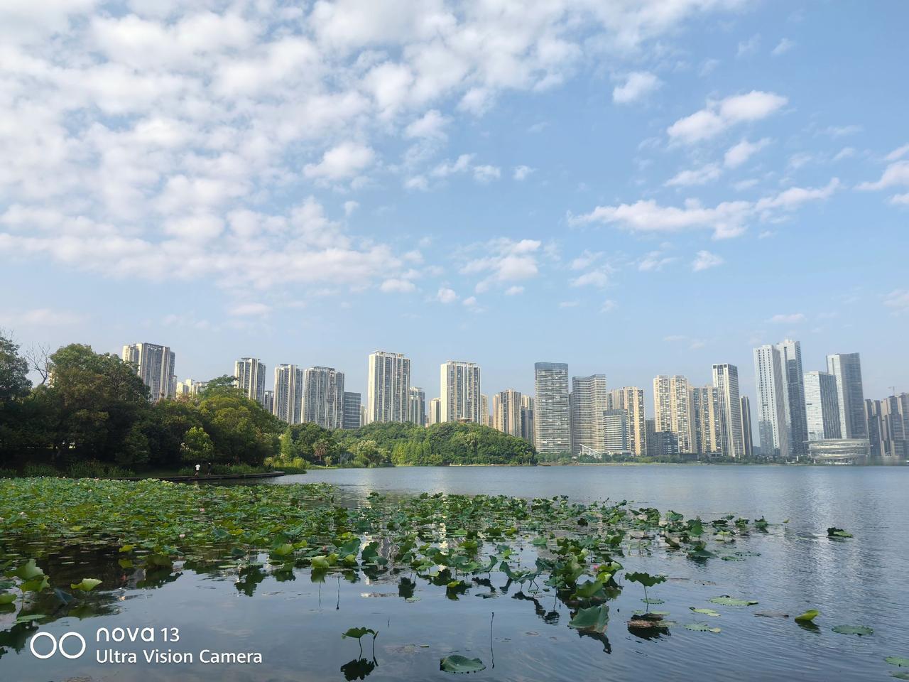 上热门美丽的城市美丽的风景我的摄影日记浅夏时光随手拍