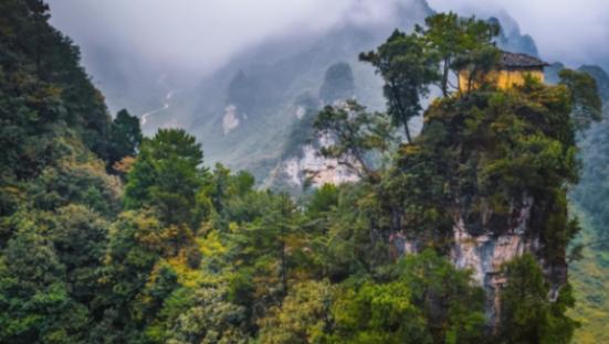 为什么禁止进入神农架深处？别看神农架拥有大量高等植物和珍稀动物，但这是禁区，要是