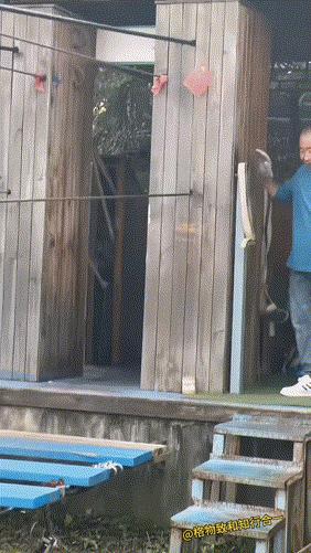 太高了，吓死我啦[大笑]